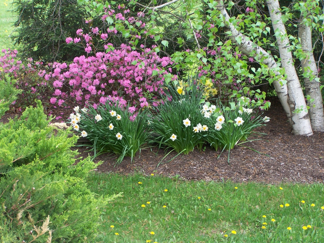 415 Stratton Road Williamstown, MA 01267 - Photo 24 of 27 Landscaping