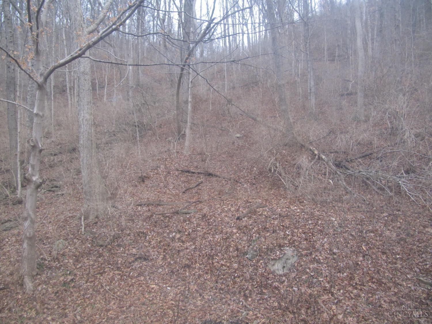 71 Anderson Ferry Road Cincinnati, OH 45238 - Photo 26 of 30 Gallery Image 26