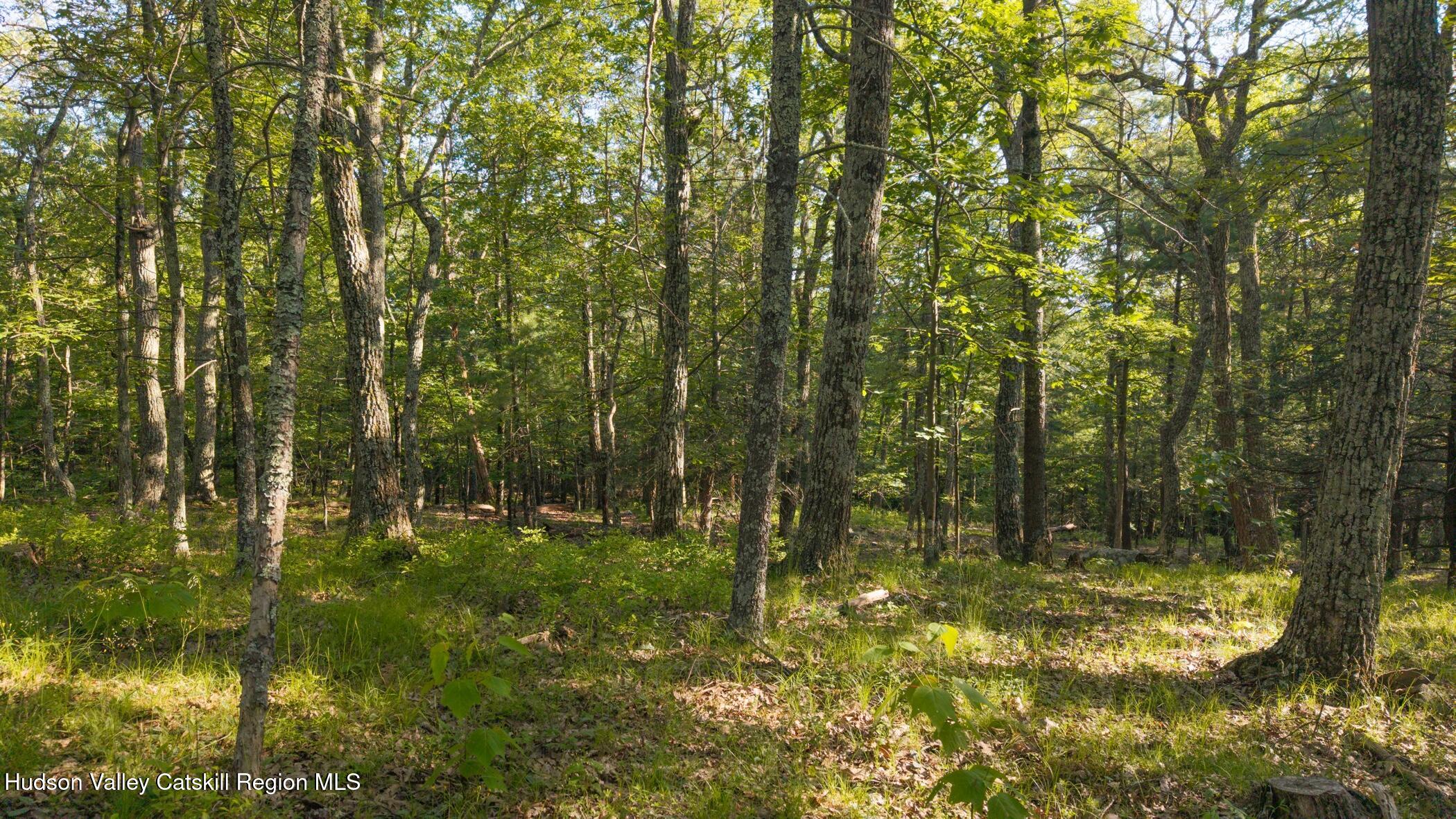 Tbd-2 Mt Airy Road Saugerties, NY 12477 - Photo 12 of 15 Land 2