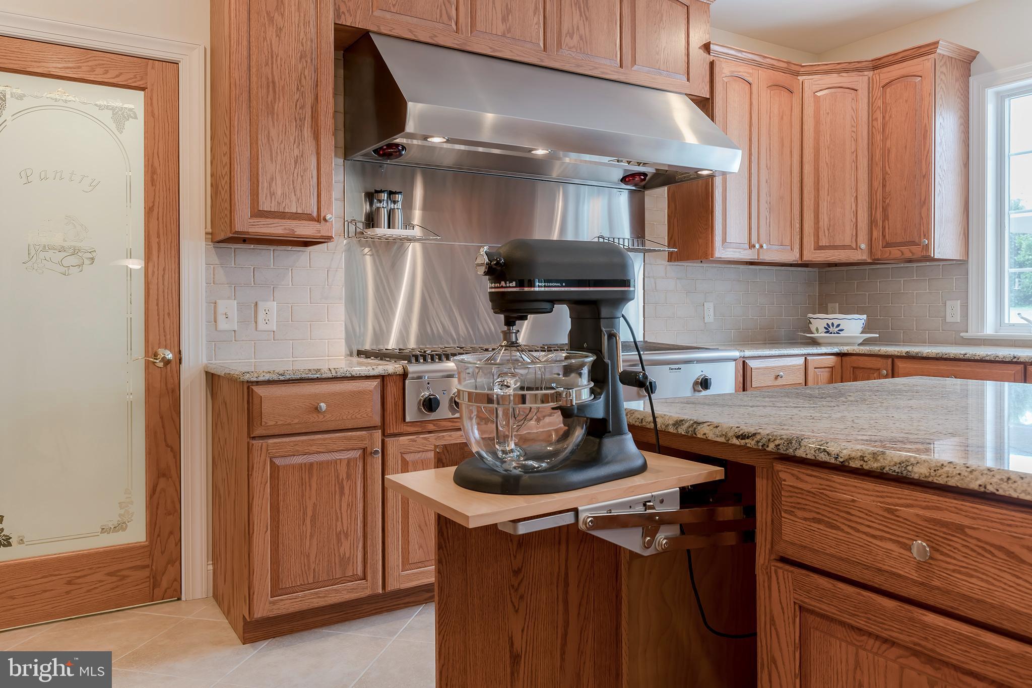 25 Millrace Drive Lancaster, PA 17603 - Photo 21 of 65 Ultimate gourmet kitchen with pull out platform