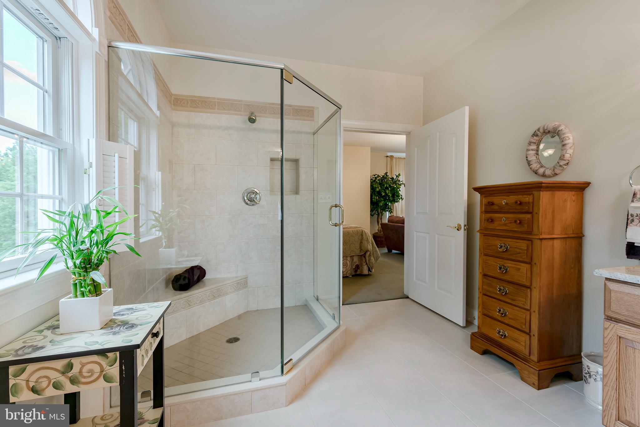 25 Millrace Drive Lancaster, PA 17603 - Photo 33 of 65 Glass enclosed shower stall