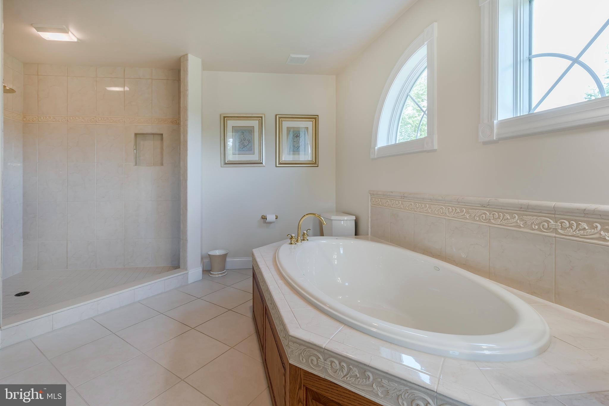 25 Millrace Drive Lancaster, PA 17603 - Photo 39 of 65 Tub and Shower