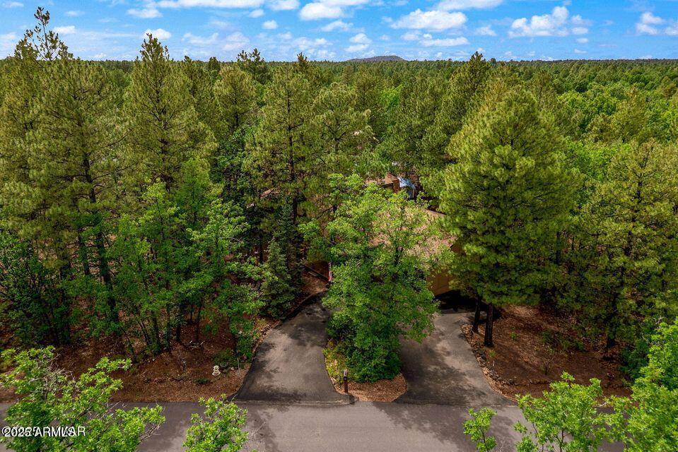4038 Bridle Path Loop Pinetop, AZ 85935 - Photo 33 of 38 33