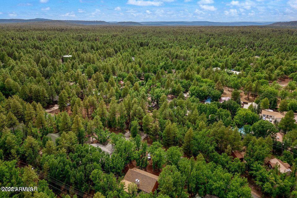 4038 Bridle Path Loop Pinetop, AZ 85935 - Photo 35 of 38 35