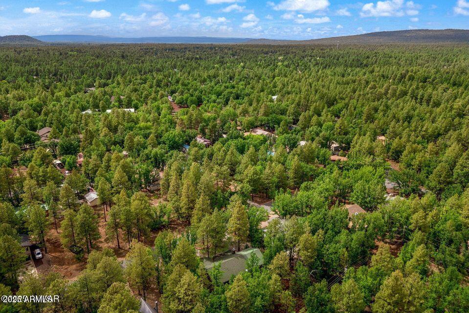 4038 Bridle Path Loop Pinetop, AZ 85935 - Photo 36 of 38 36