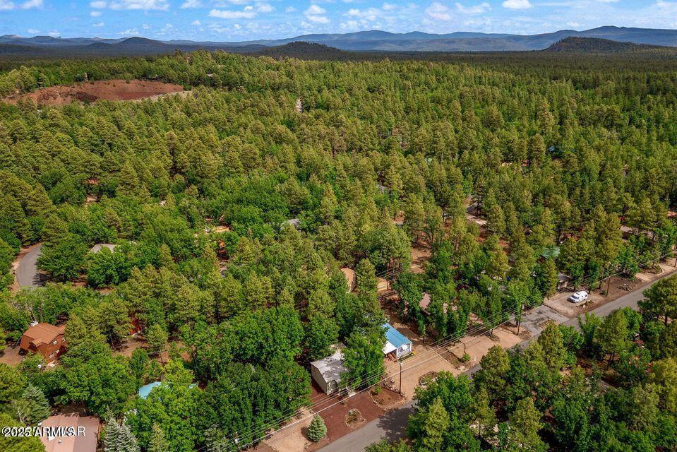 4038 Bridle Path Loop Pinetop, AZ 85935 - Photo 37 of 38 37