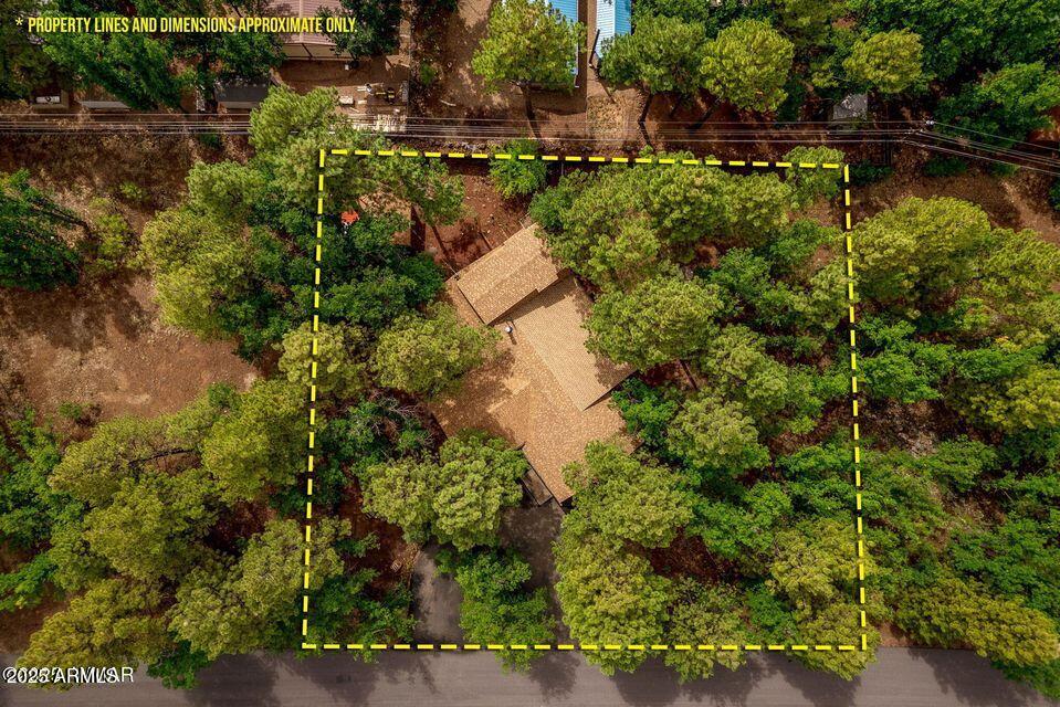 4038 Bridle Path Loop Pinetop, AZ 85935 - Photo 38 of 38 38