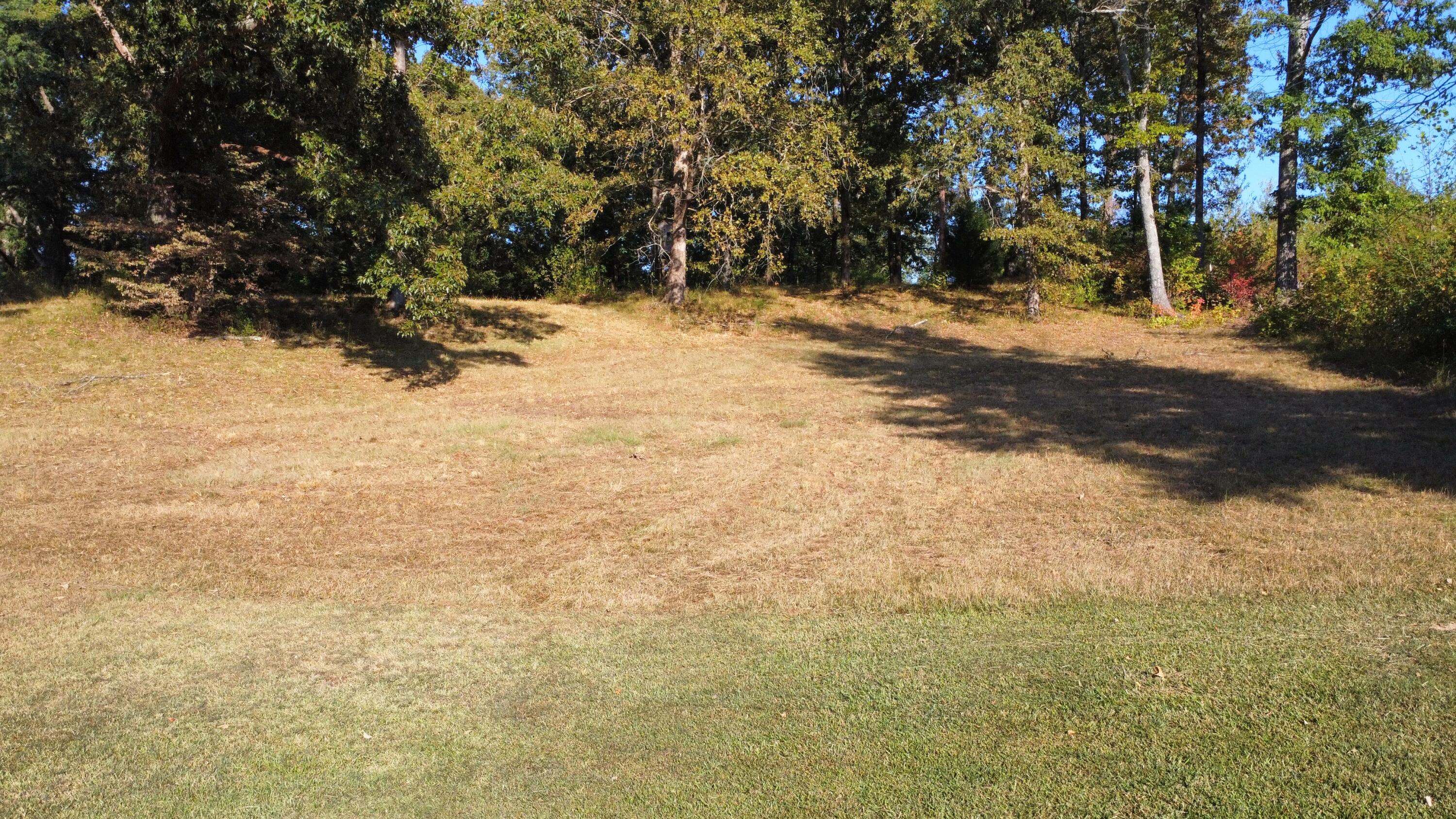 2036 State Line Road Northeast Golden, MS 38847 - Photo 63 of 82 Gallery Image 63