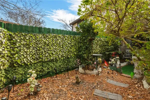 a view of a yard with plants and large trees