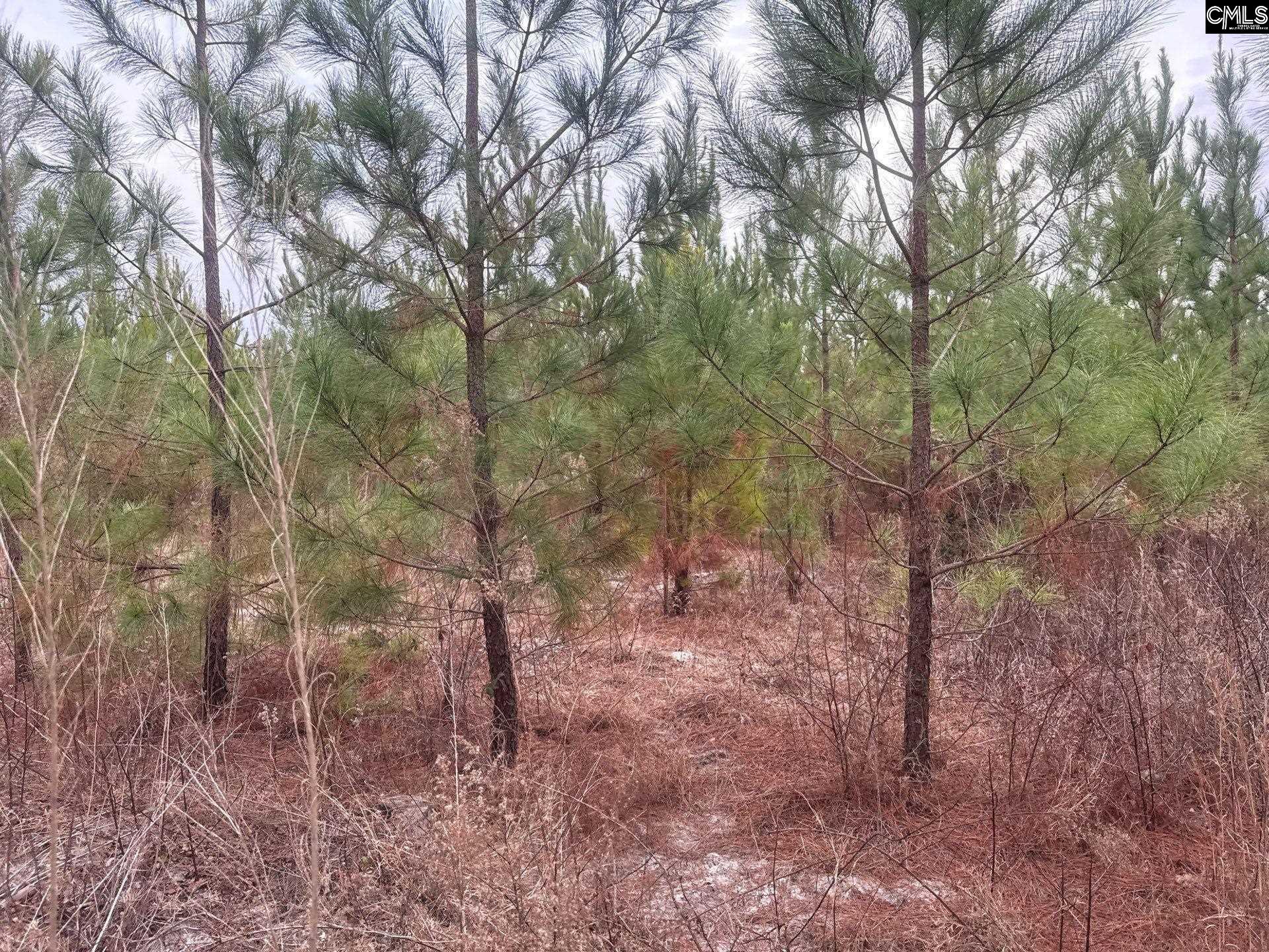 9 Quattlebaum Road, Unit QBF 9 Leesville, SC 29070 - Photo 6 of 12
