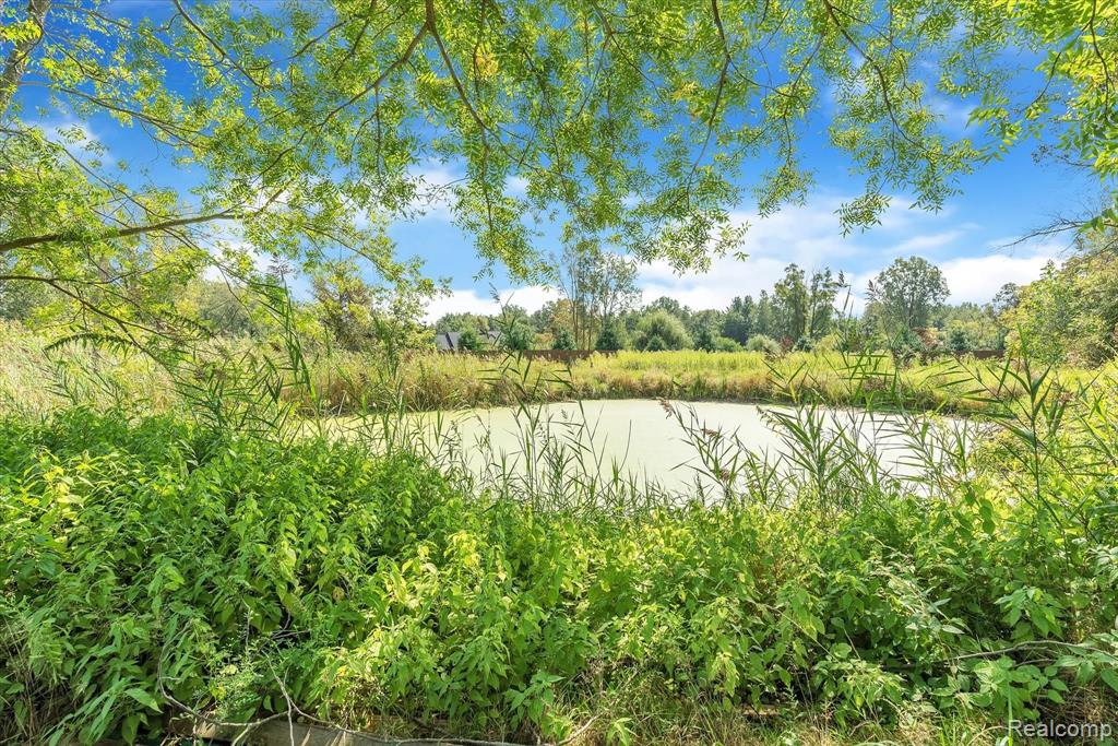 12557 Darling Road Milan, MI 48160 - Photo 40 of 41