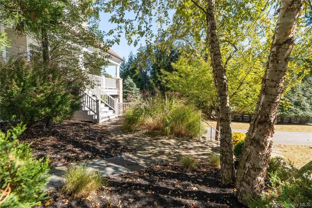 a view of a yard with plants and a large tree