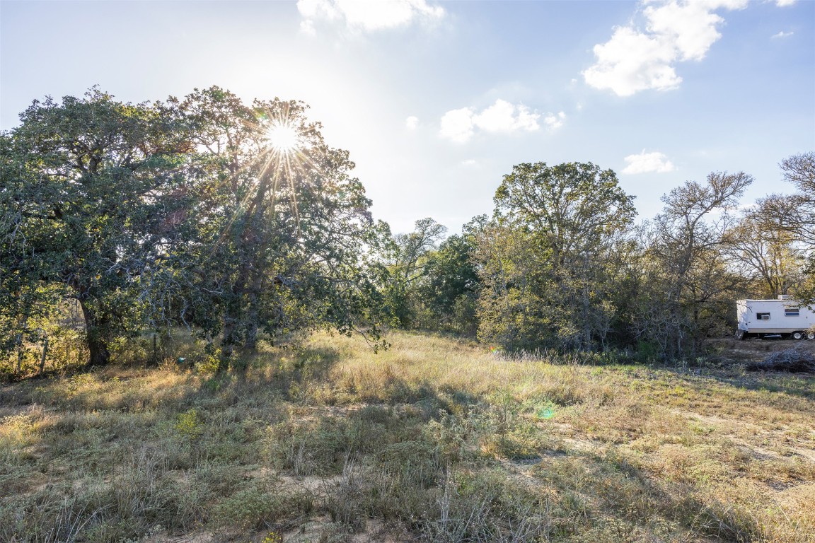 175 Romberg Road Dale, TX 78616 - Photo 5 of 6 a view of a yard with a tree