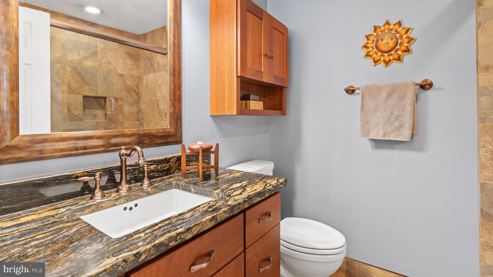 12083 Edgemere Circle Reston, VA 20190 - Photo 14 of 32 Full Bathroom, large tub/shower, granite top.