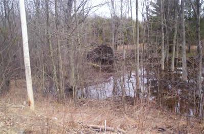 17300 Lindroos Road Kaleva, MI 49645 - Photo 3 of 6 Additional Photo