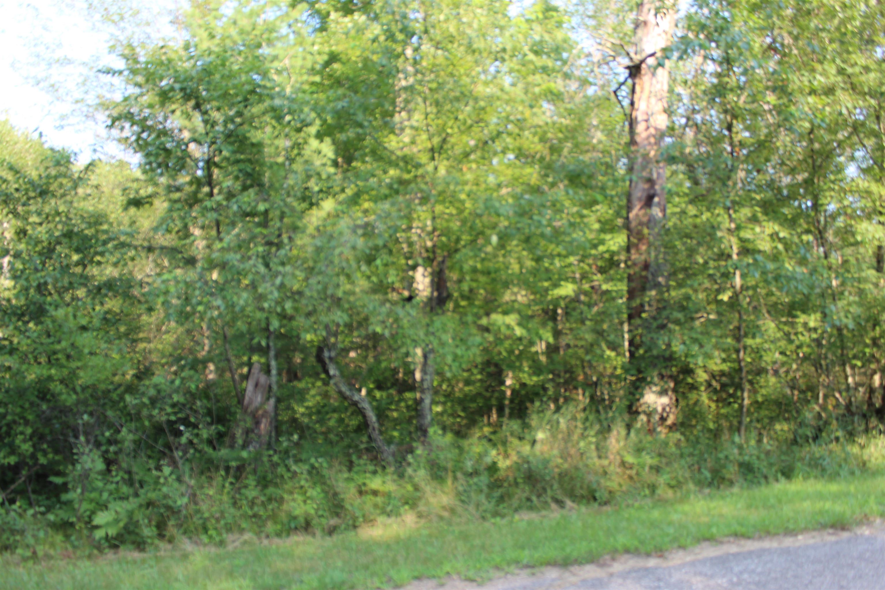 Sikowski Lane Crivitz, WI 54114 - Photo 1 of 4