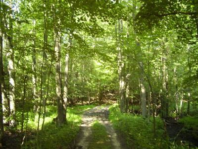Olmstead Road, Unit PAR 2 Ionia, MI 48846 - Photo 3 of 3 Additional Photo