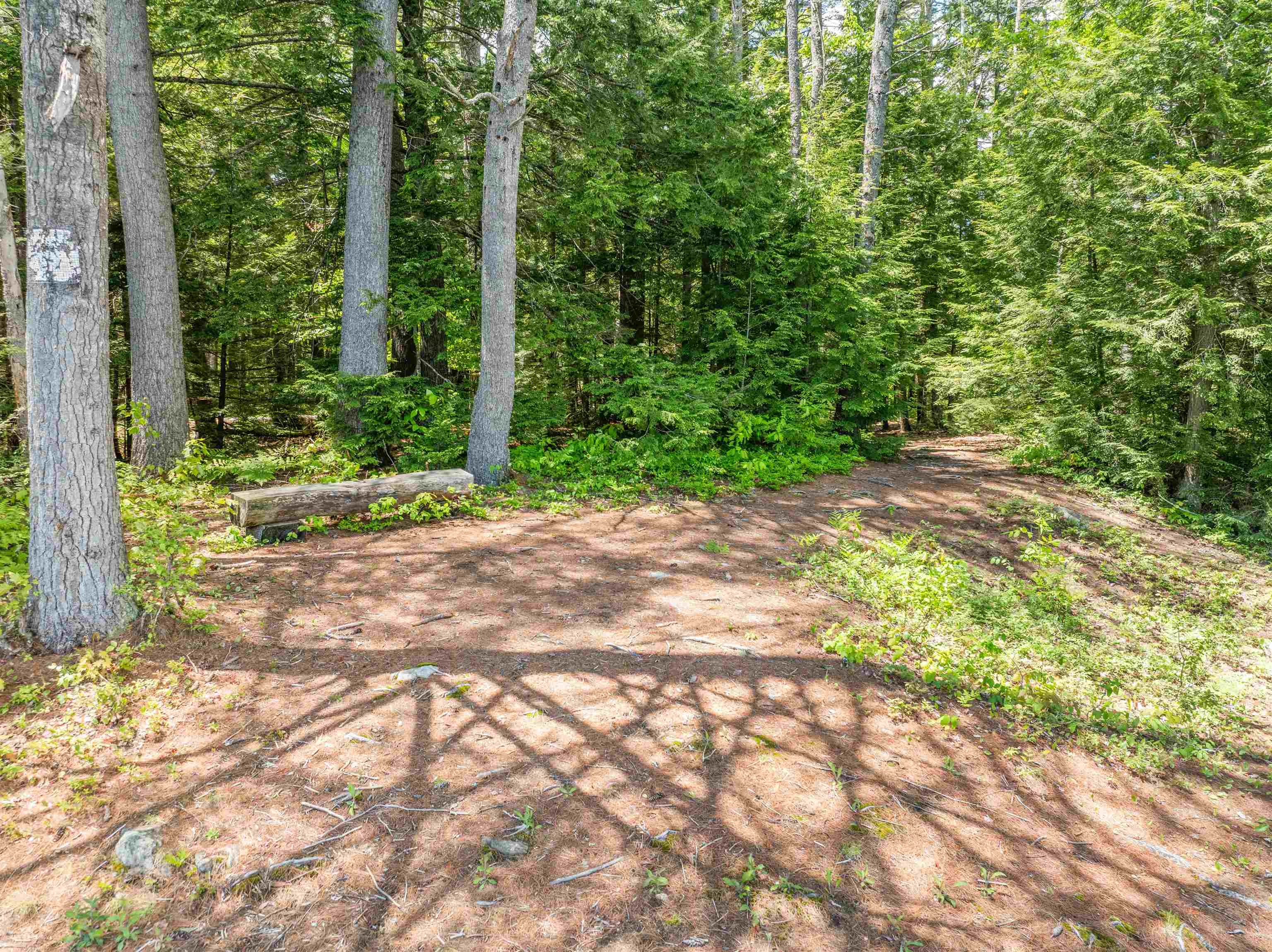 47 Forest Pond Road New Hampton, NH 03256 - Photo 35 of 60