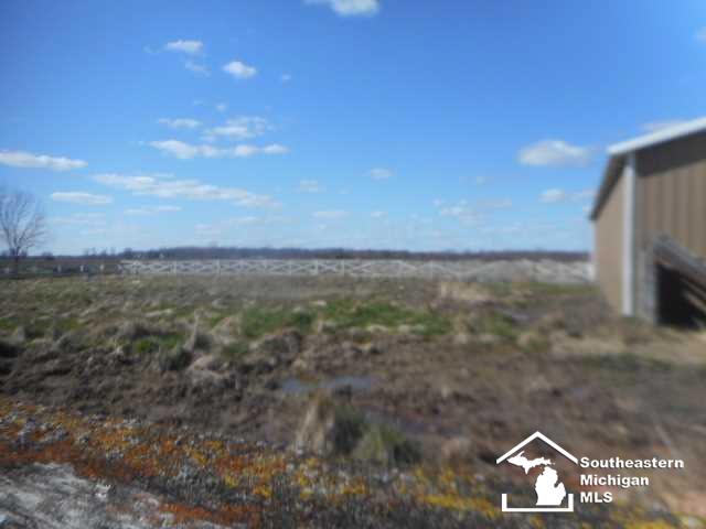 5296 Scofield Road Maybee, MI 48159 - Photo 10 of 26