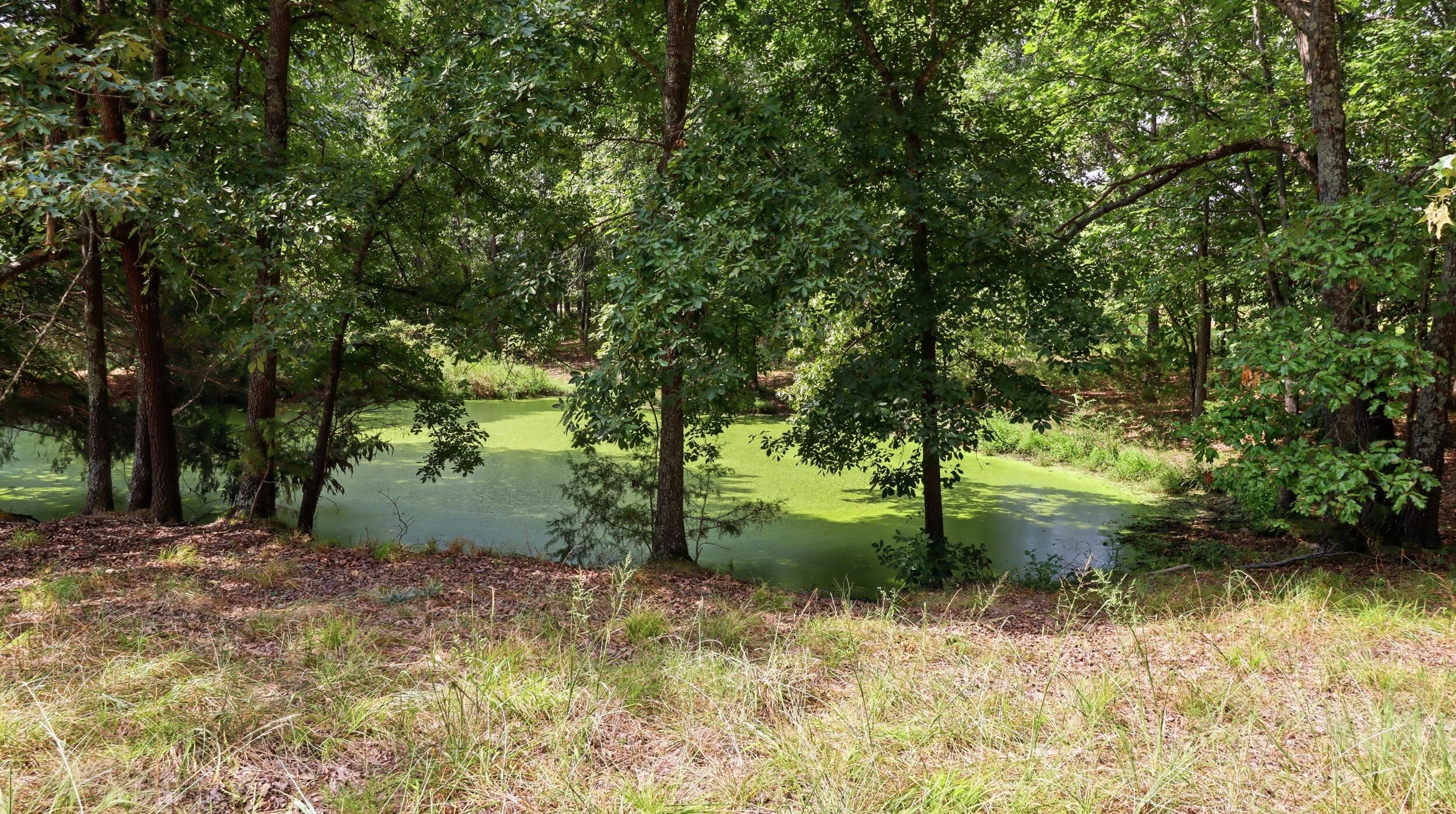 134 McIntire Road Caulfield, MO 65626 - Photo 7 of 74 IMG_0102