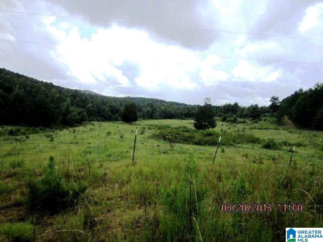 796 Alawashky Road, Unit 46 ACRES Ashland, AL 36251 - Photo 14 of 17