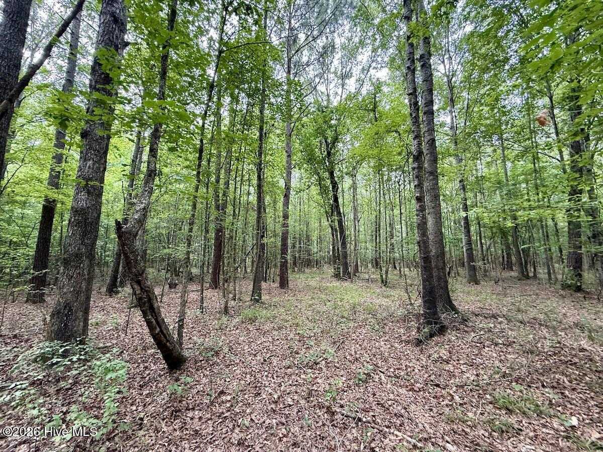 5930 Titan Roberts Road Erwin, NC 28339 - Photo 9 of 39 Gallery Image 9