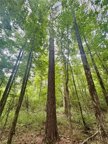 $225,000 | 6 Hwy Natchitoches La, Natchitoches, LA 71457