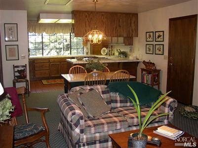 2172 Green Hill Road Sebastopol, CA 95472 - Photo 6 of 12 a view of a chairs and table in a patio