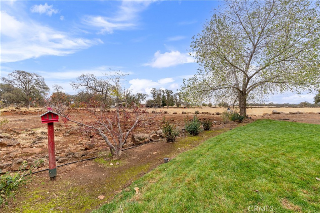 3385 Keefer Road Chico, CA 95973 - Photo 31 of 40 a view of a road with a yard