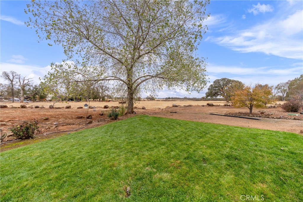 3385 Keefer Road Chico, CA 95973 - Photo 32 of 40 a view of yard with green space