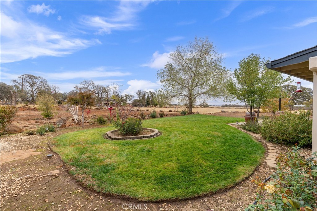 3385 Keefer Road Chico, CA 95973 - Photo 36 of 40 a view of a backyard with large trees