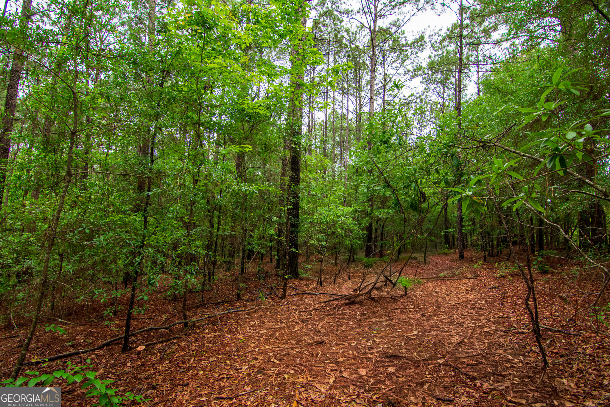 0 White Road Pine Mountain, GA 31822 - Photo 7 of 9