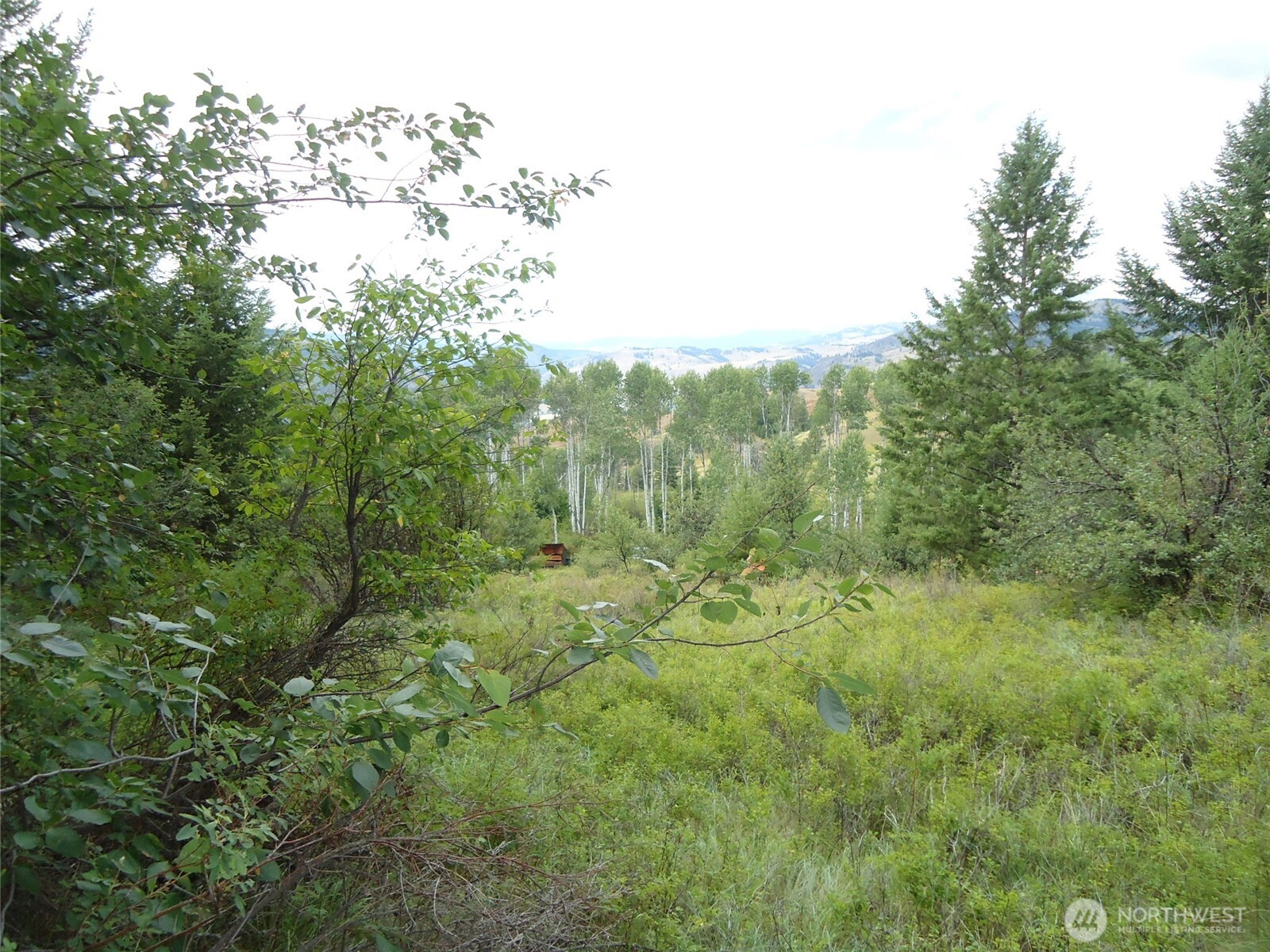 29 Yellow Brick Road Curlew, WA 99118 - Photo 15 of 15 Gallery Image 15