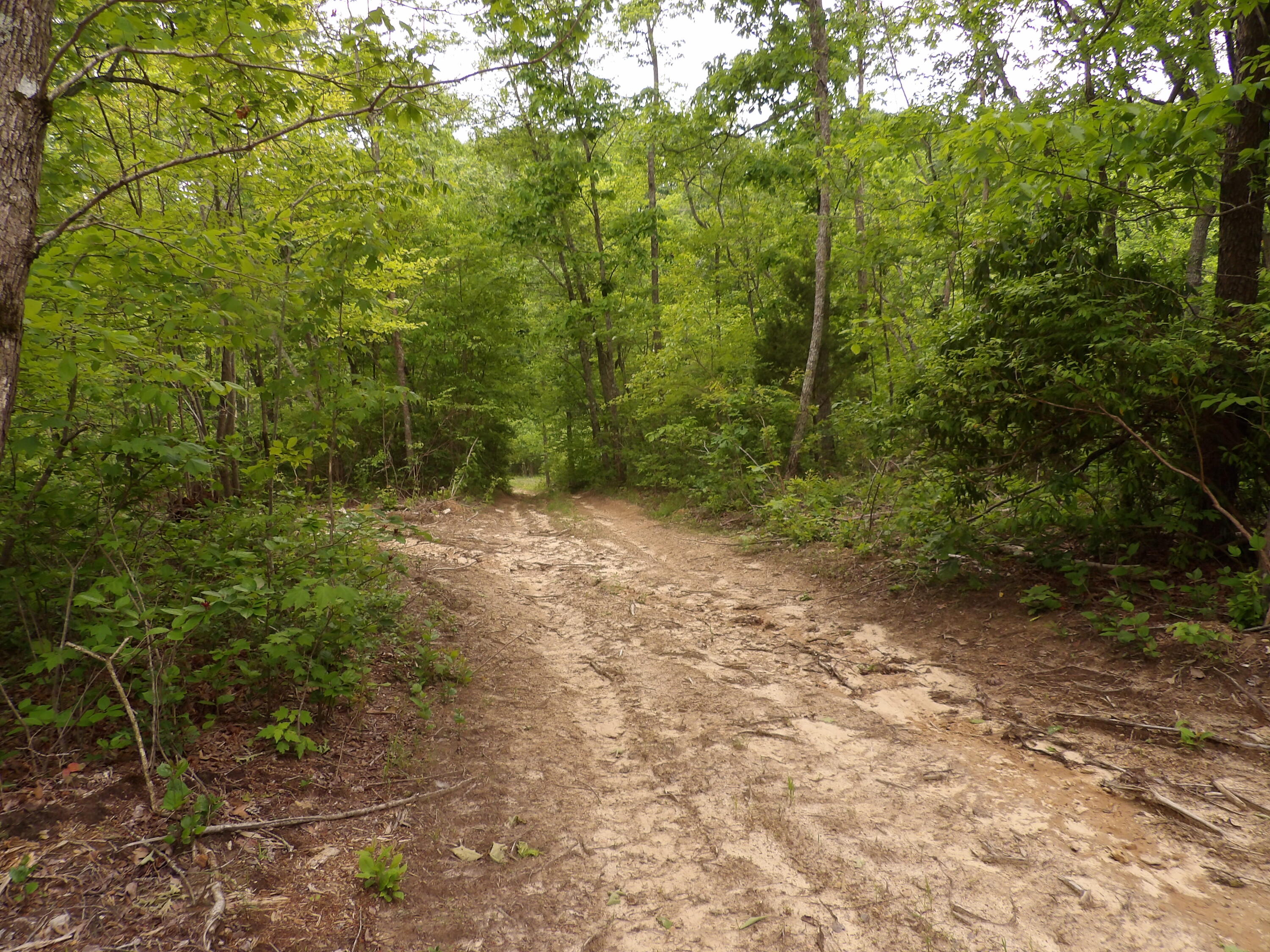 0 Overview Road Crossville, TN 38572 - Photo 11 of 45 100_0556