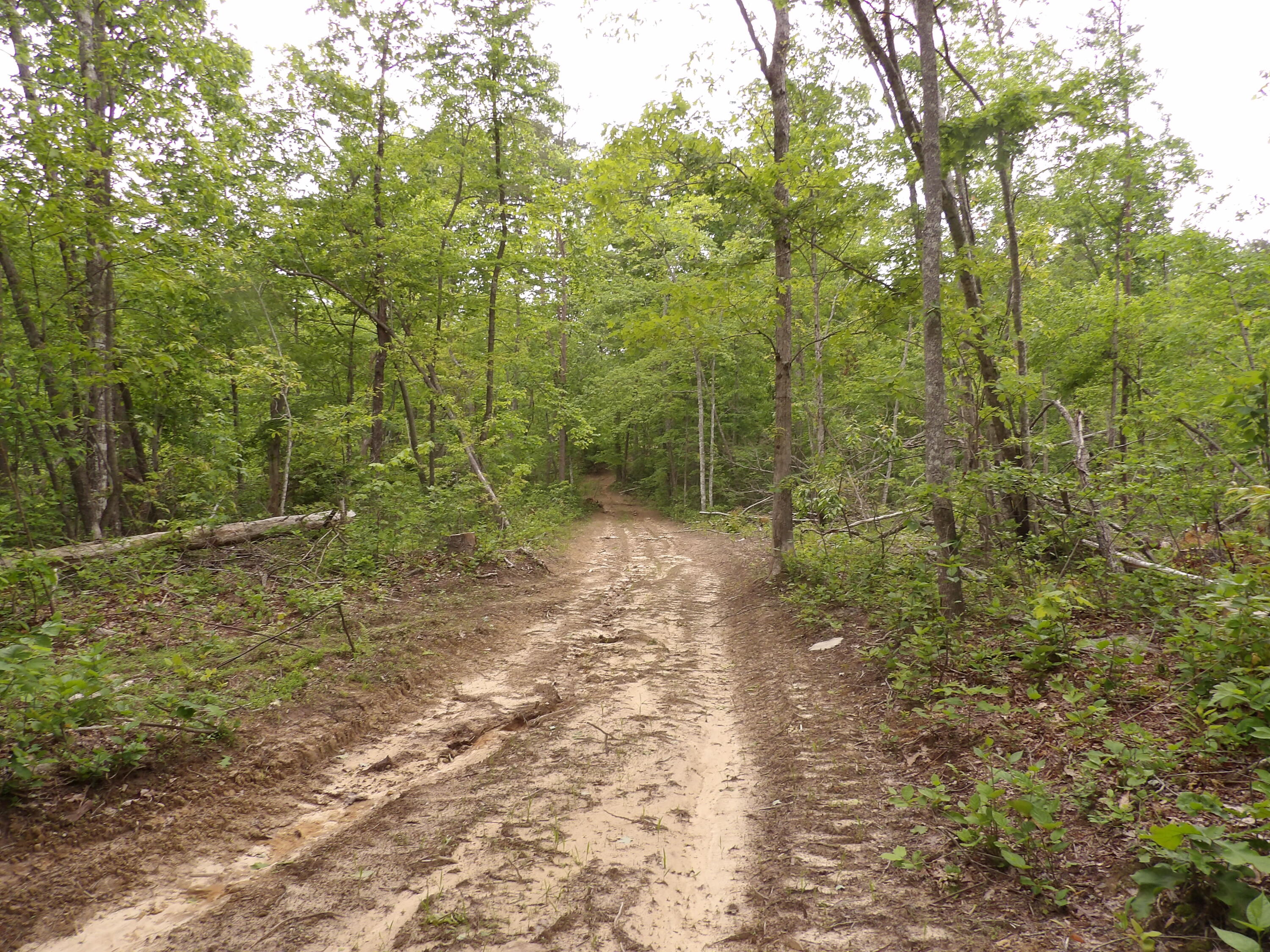 0 Overview Road Crossville, TN 38572 - Photo 13 of 45 100_0558