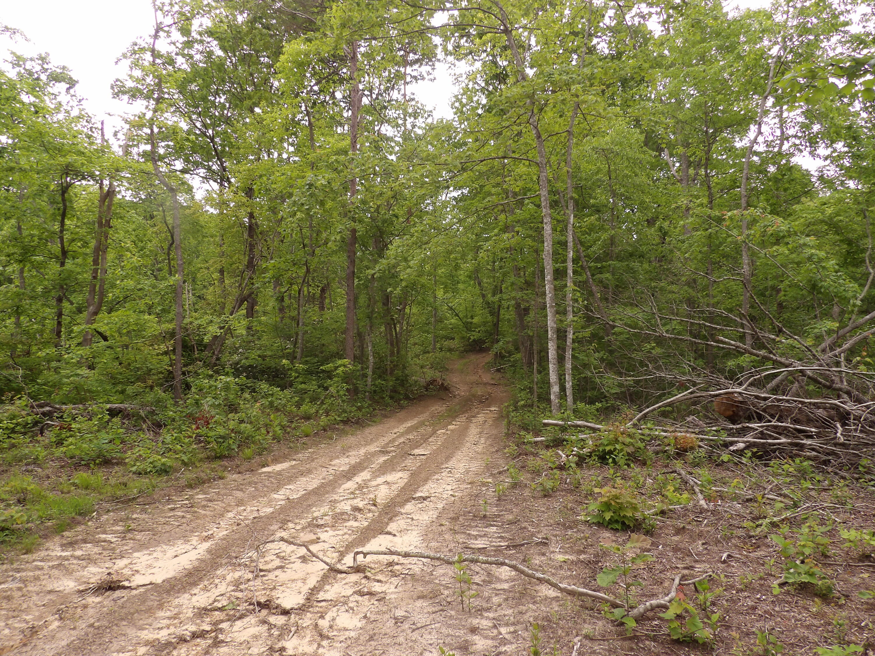 0 Overview Road Crossville, TN 38572 - Photo 15 of 45 100_0560