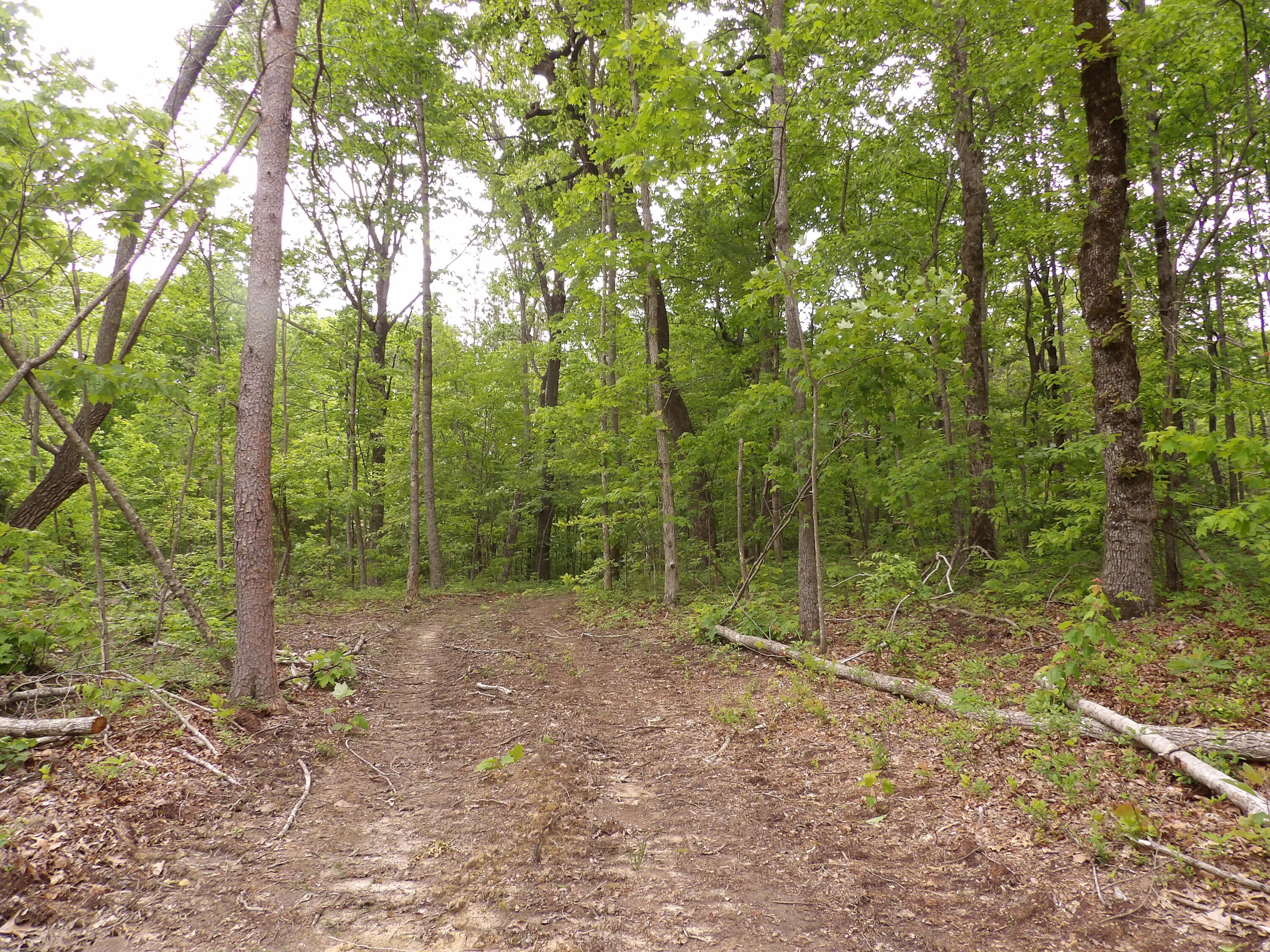 0 Overview Road Crossville, TN 38572 - Photo 19 of 45 100_0564