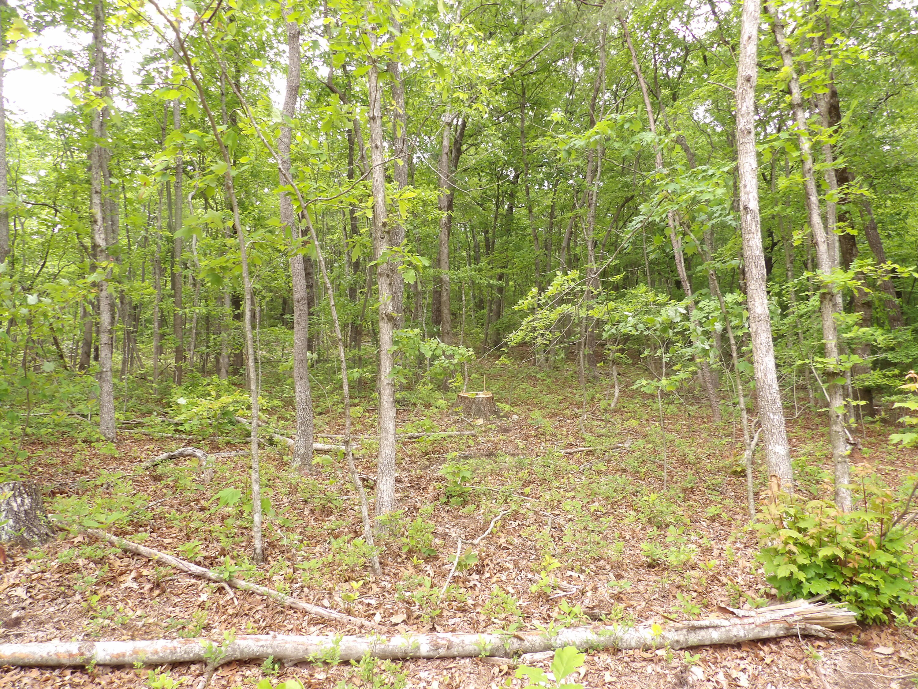 0 Overview Road Crossville, TN 38572 - Photo 20 of 45 100_0565
