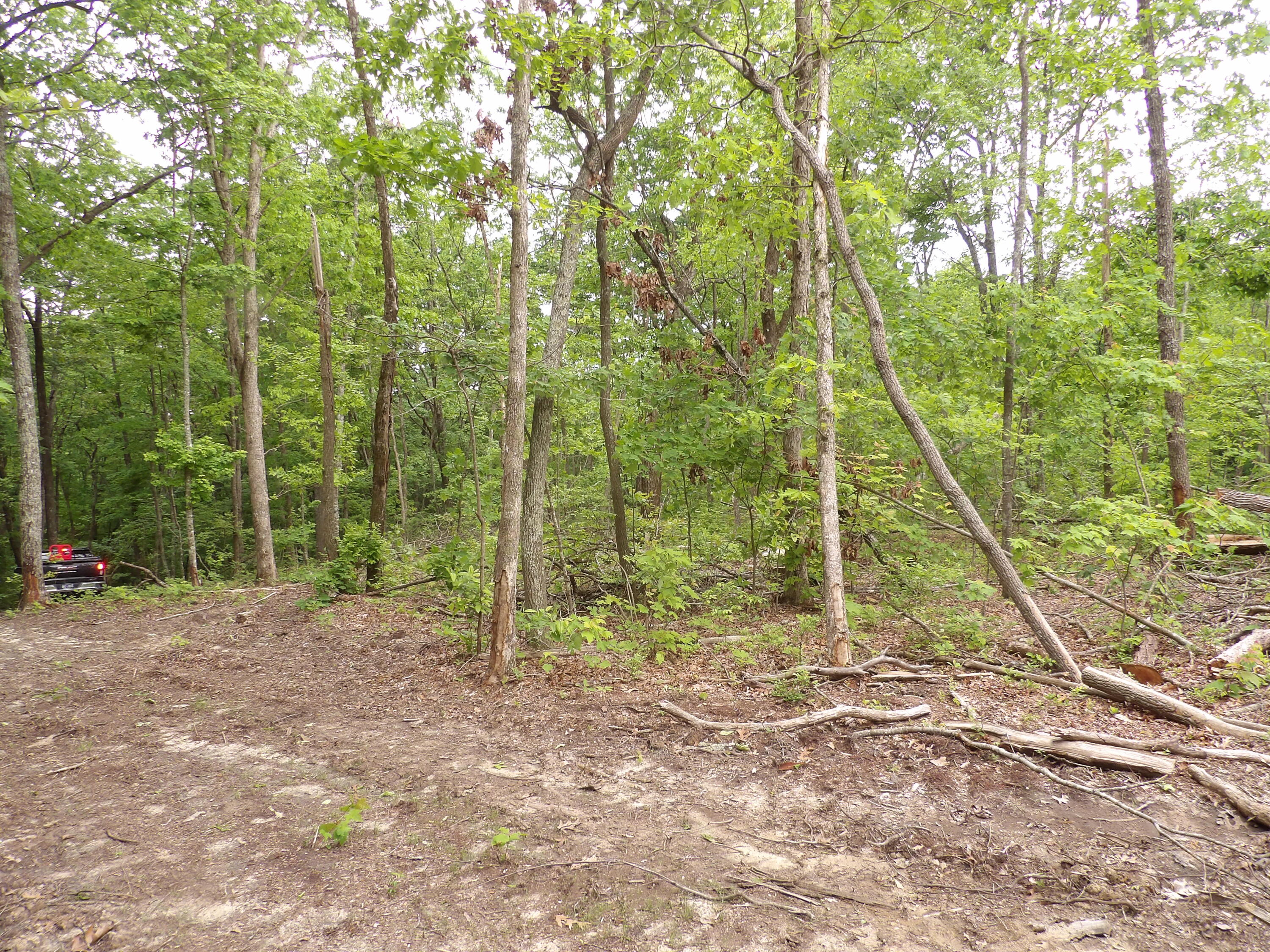 0 Overview Road Crossville, TN 38572 - Photo 22 of 45 100_0567