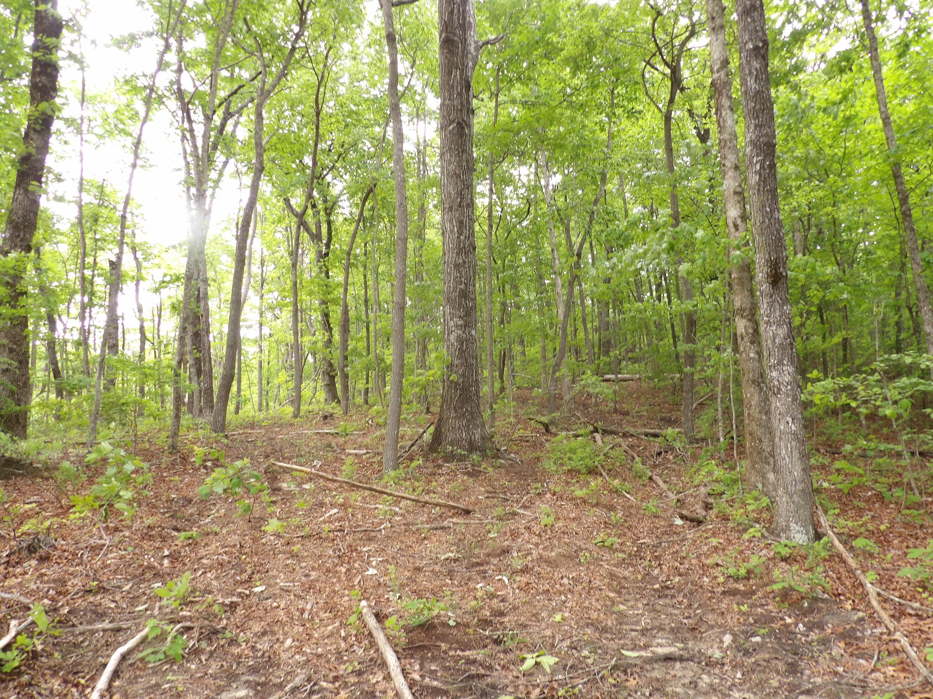 0 Overview Road Crossville, TN 38572 - Photo 23 of 45 100_0568