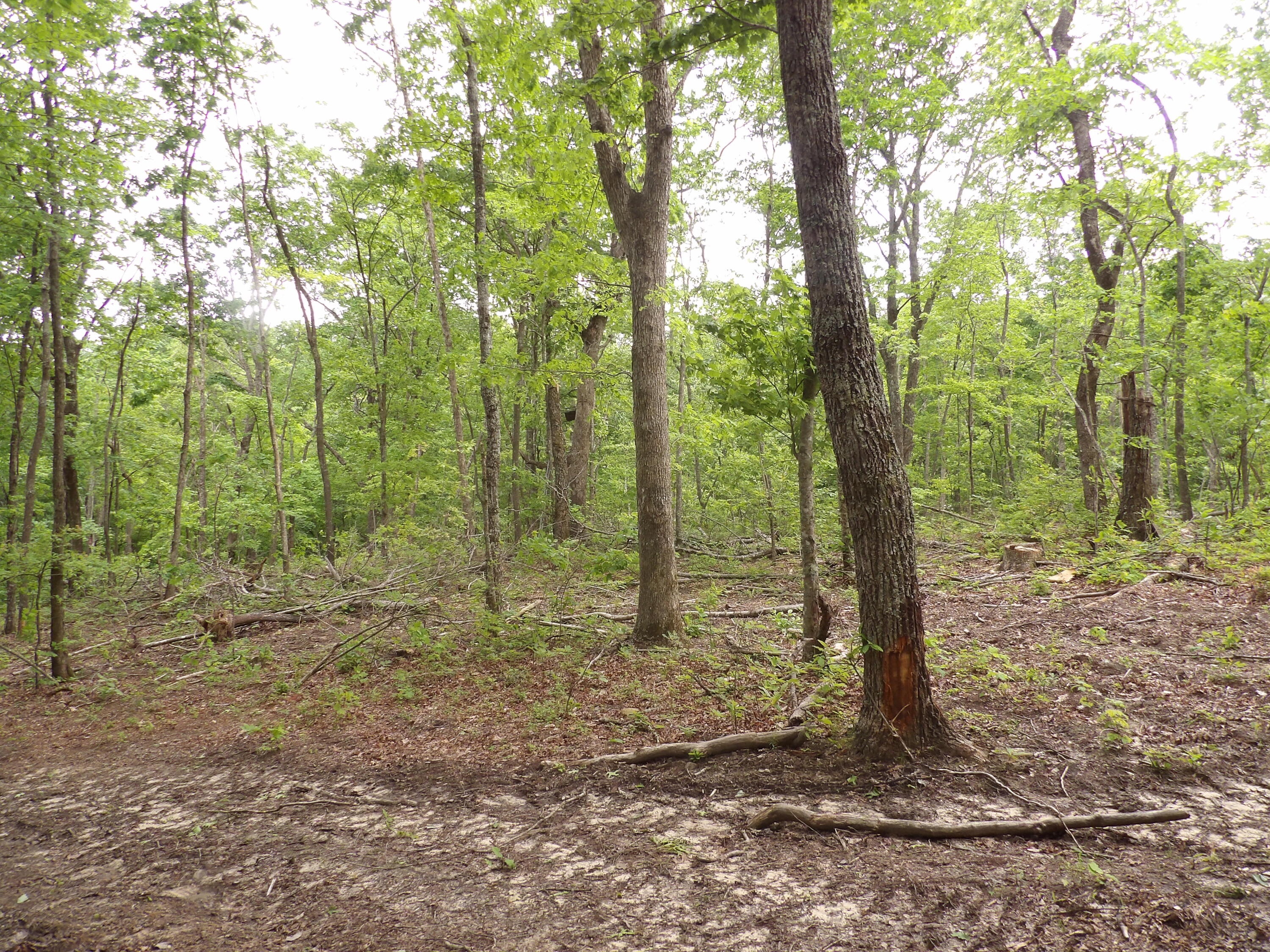 0 Overview Road Crossville, TN 38572 - Photo 25 of 45 100_0570