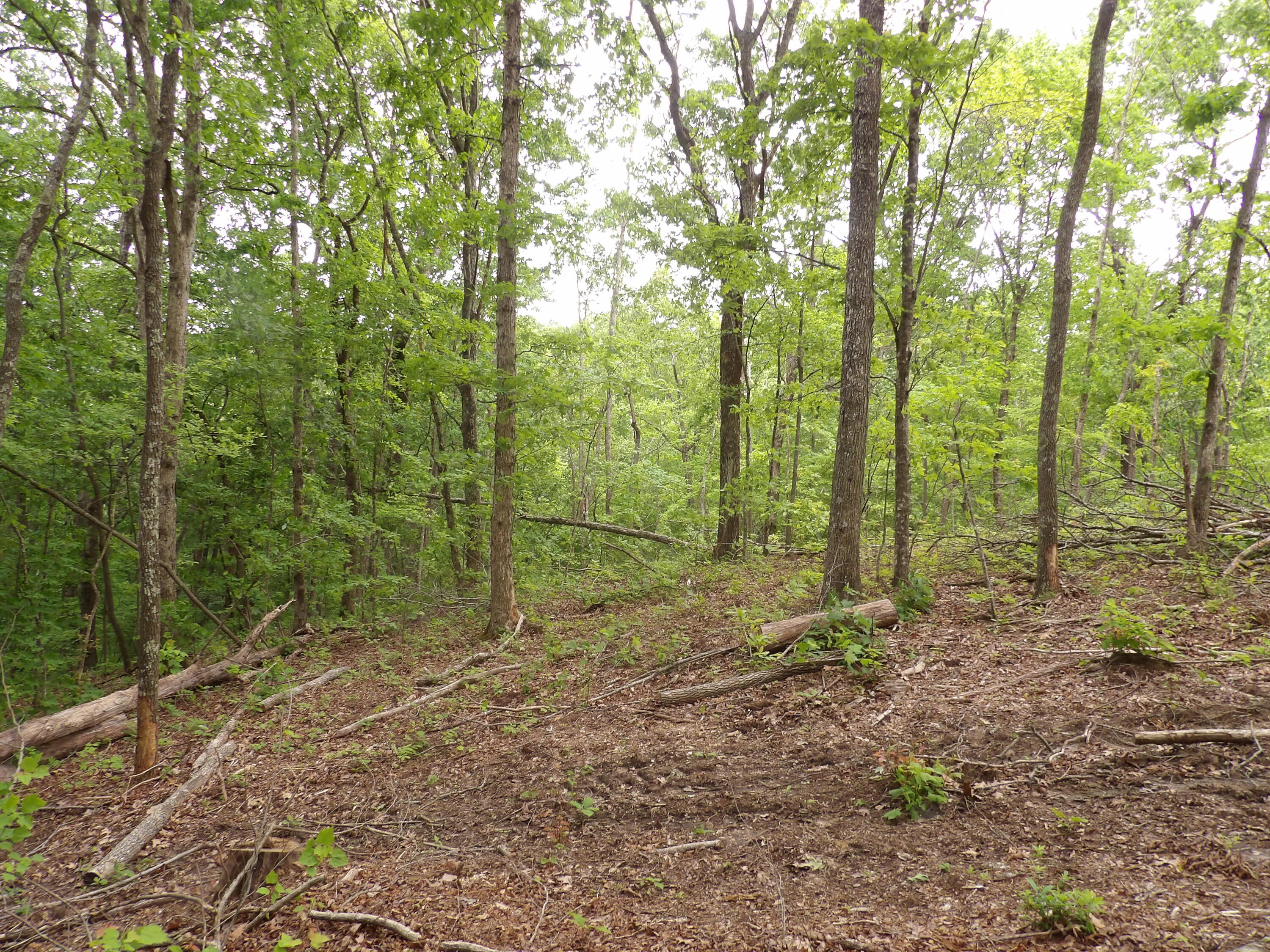 0 Overview Road Crossville, TN 38572 - Photo 26 of 45 100_0571