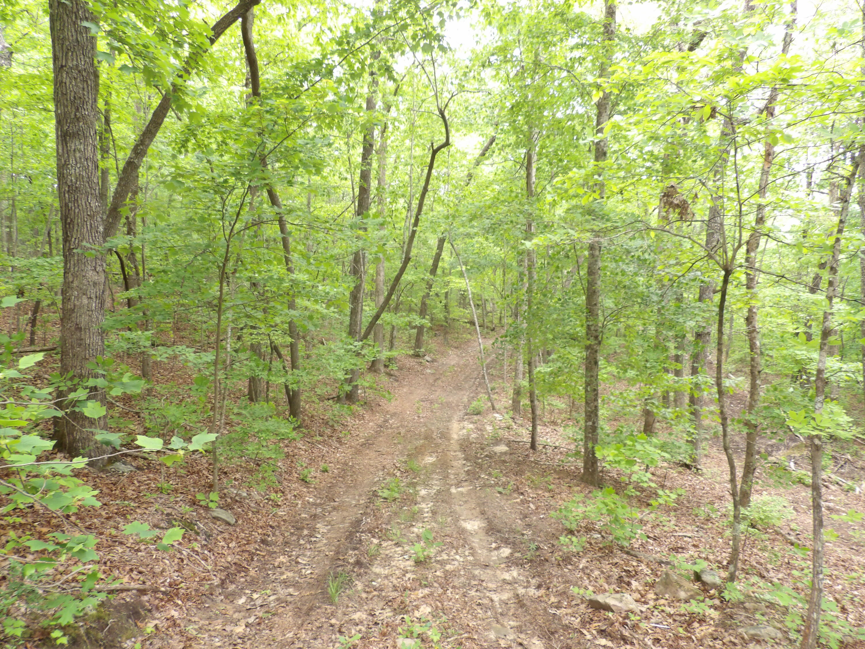 0 Overview Road Crossville, TN 38572 - Photo 27 of 45 100_0572
