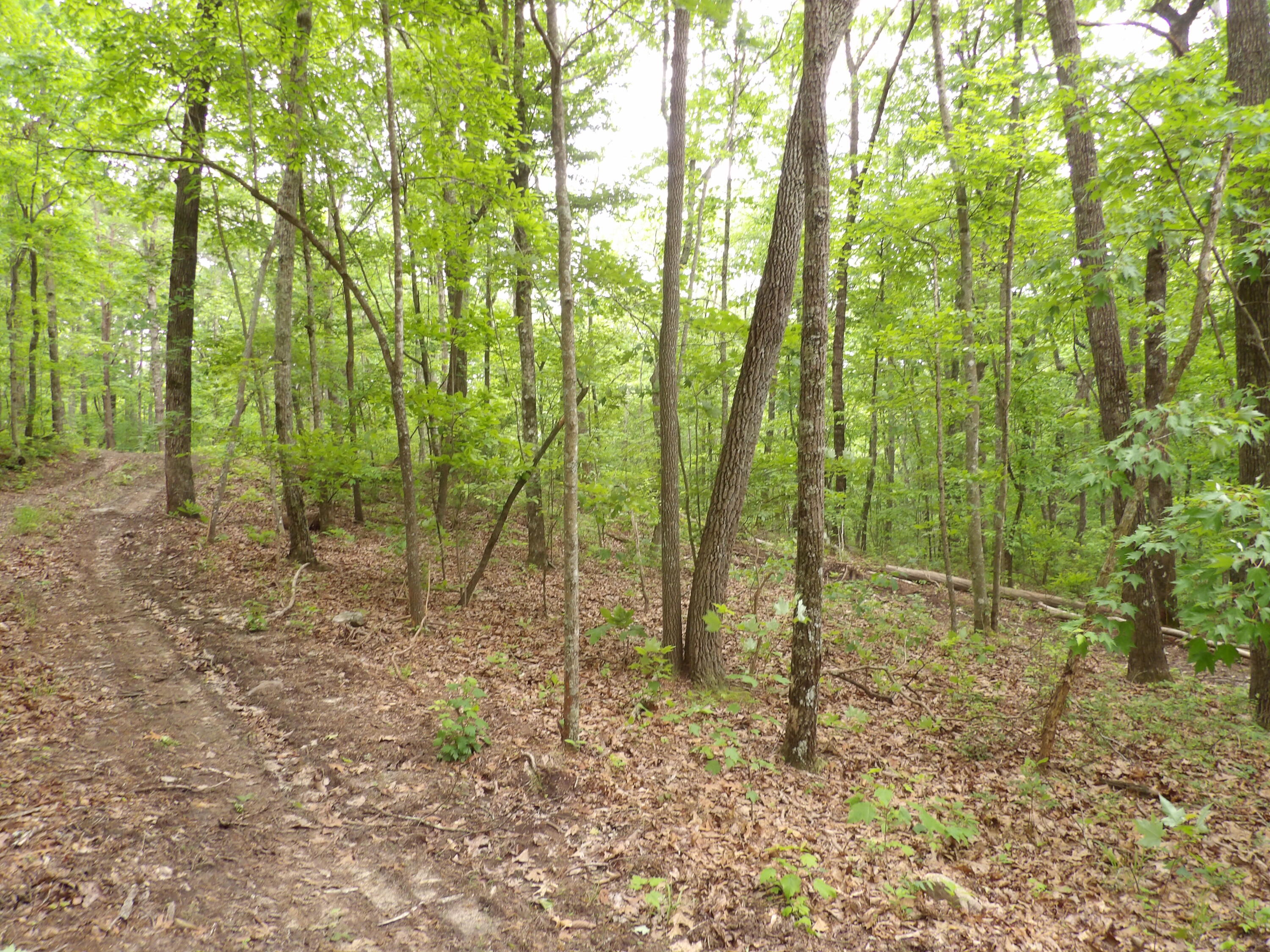 0 Overview Road Crossville, TN 38572 - Photo 30 of 45 100_0575