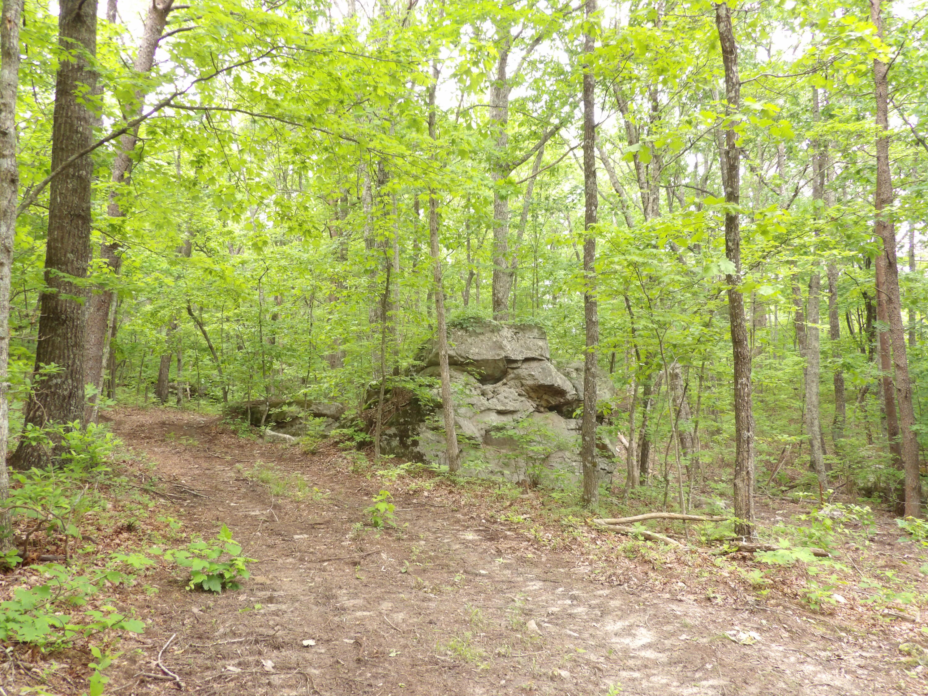 0 Overview Road Crossville, TN 38572 - Photo 31 of 45 100_0576