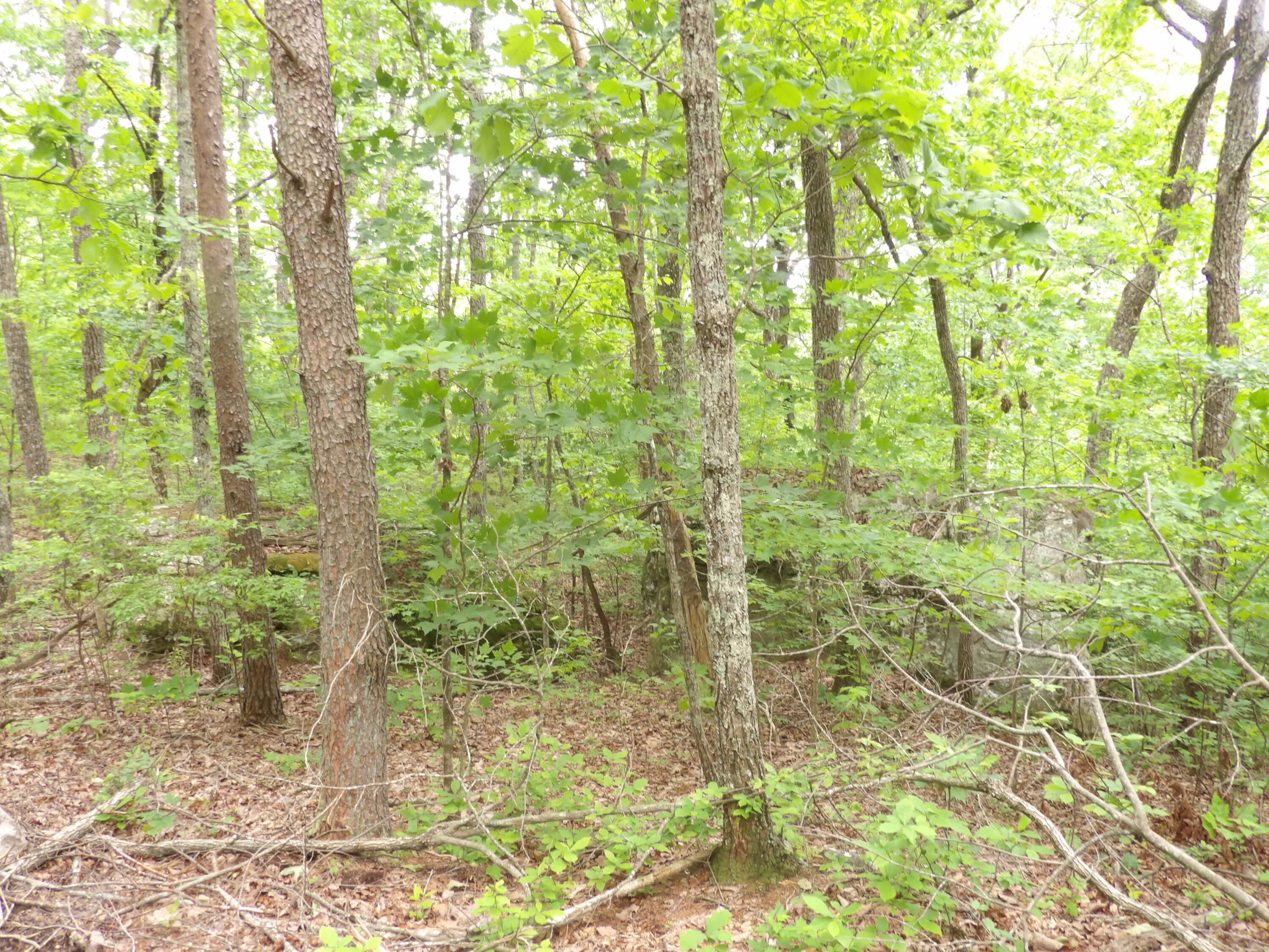 0 Overview Road Crossville, TN 38572 - Photo 32 of 45 100_0577