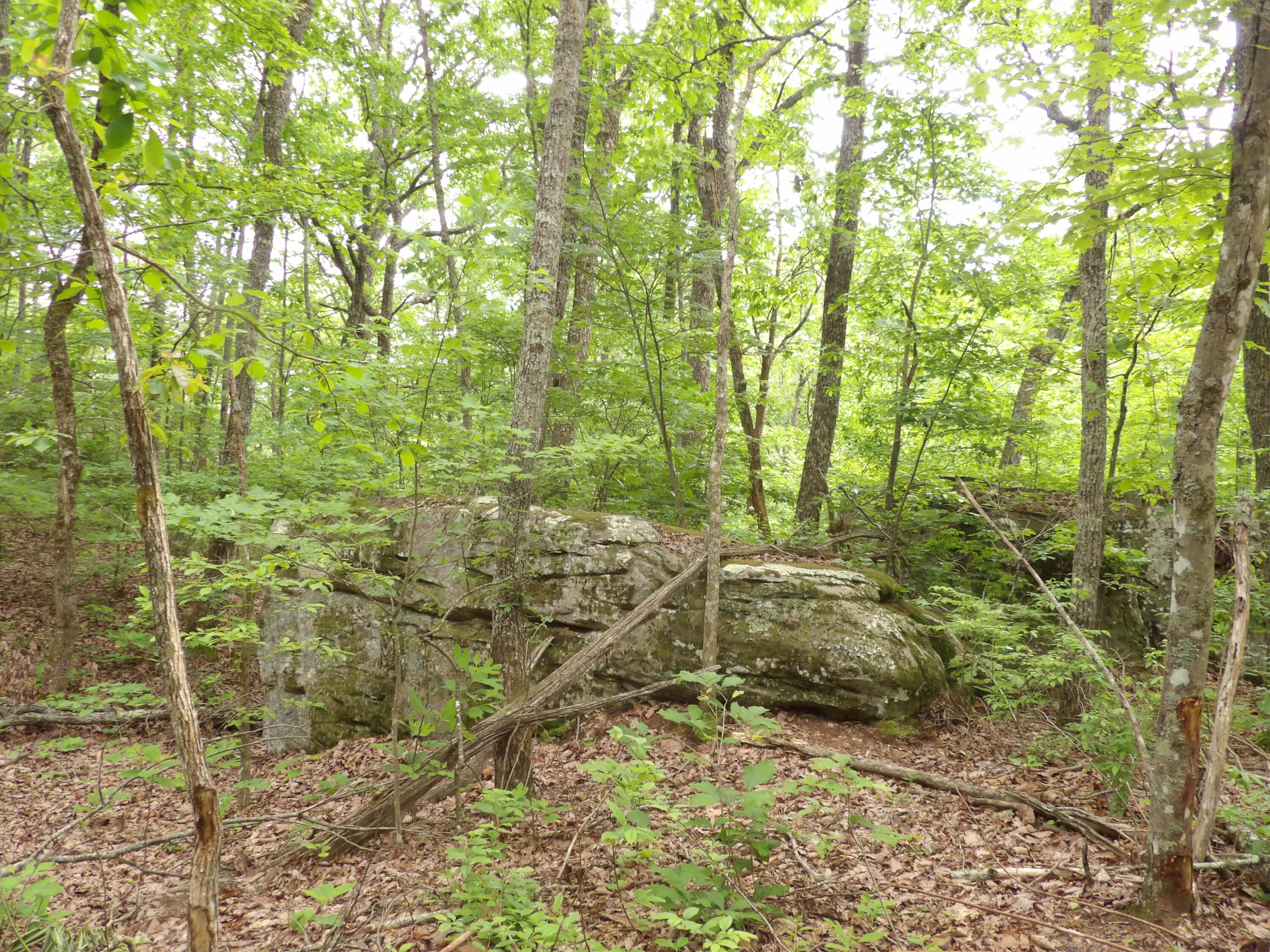 0 Overview Road Crossville, TN 38572 - Photo 33 of 45 100_0580