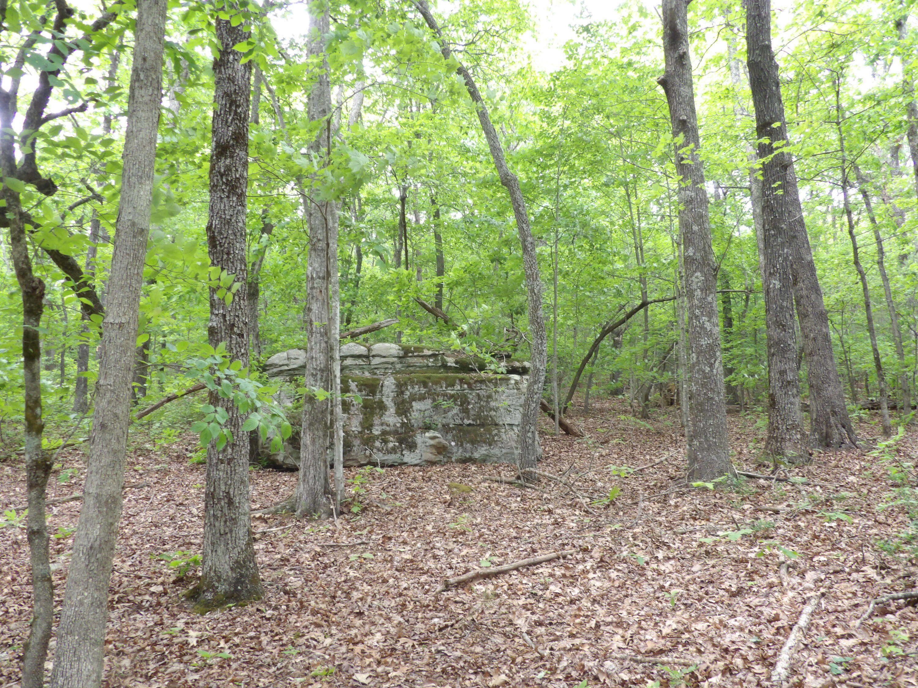 0 Overview Road Crossville, TN 38572 - Photo 34 of 45 100_0581