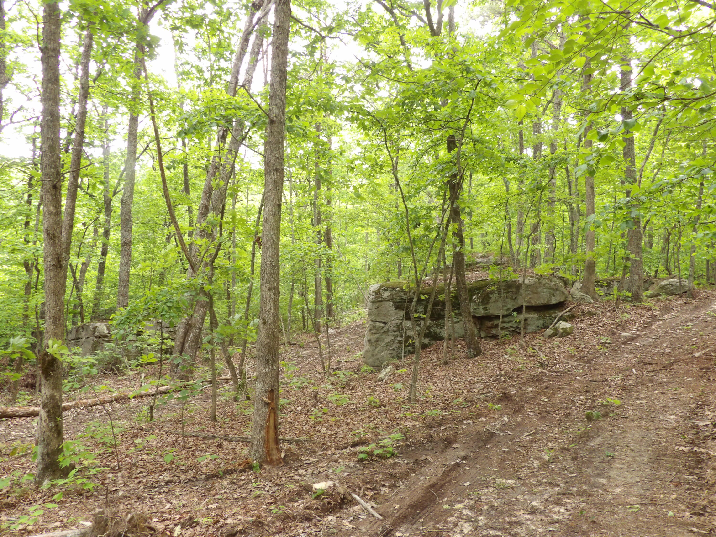 0 Overview Road Crossville, TN 38572 - Photo 35 of 45 100_0582
