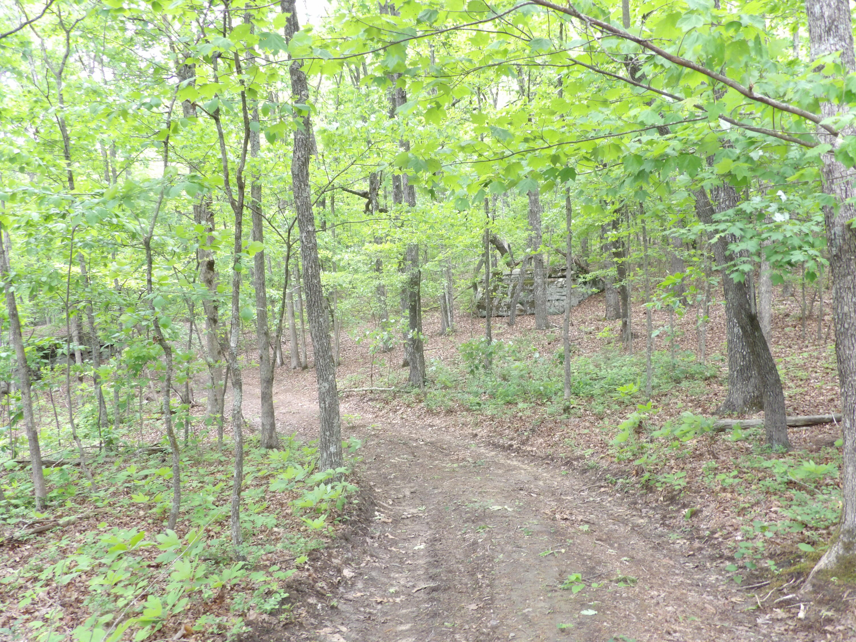 0 Overview Road Crossville, TN 38572 - Photo 38 of 45 100_0585